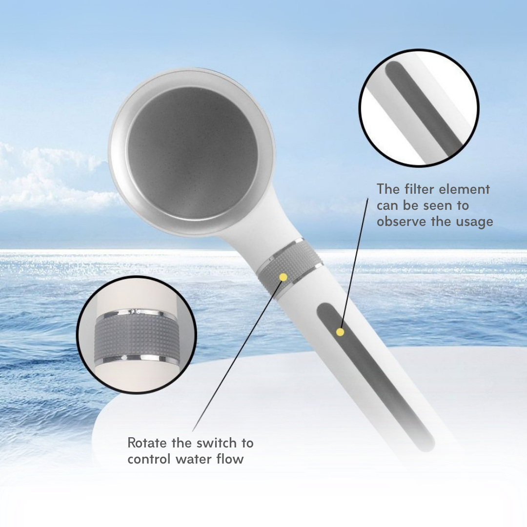 Japanese Korean Beauty Shower Head